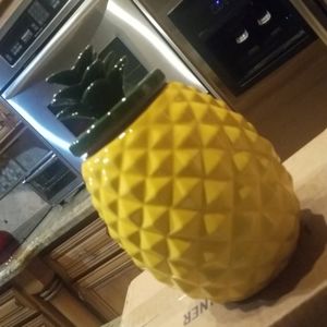 Pineapple Canister